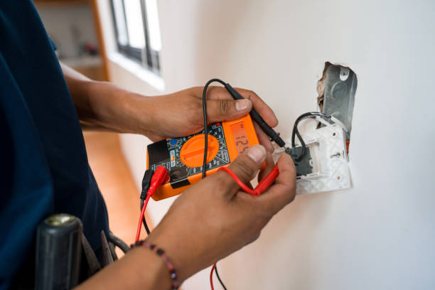 Best Electric Panel Repair  in Mount Dora, FL