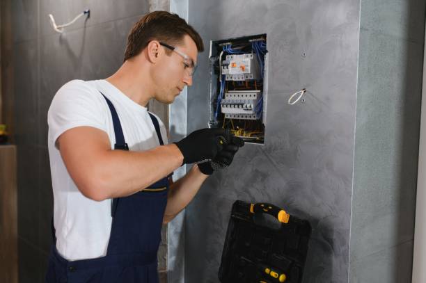 Best Local Electrician Companies  in Mount Dora, FL